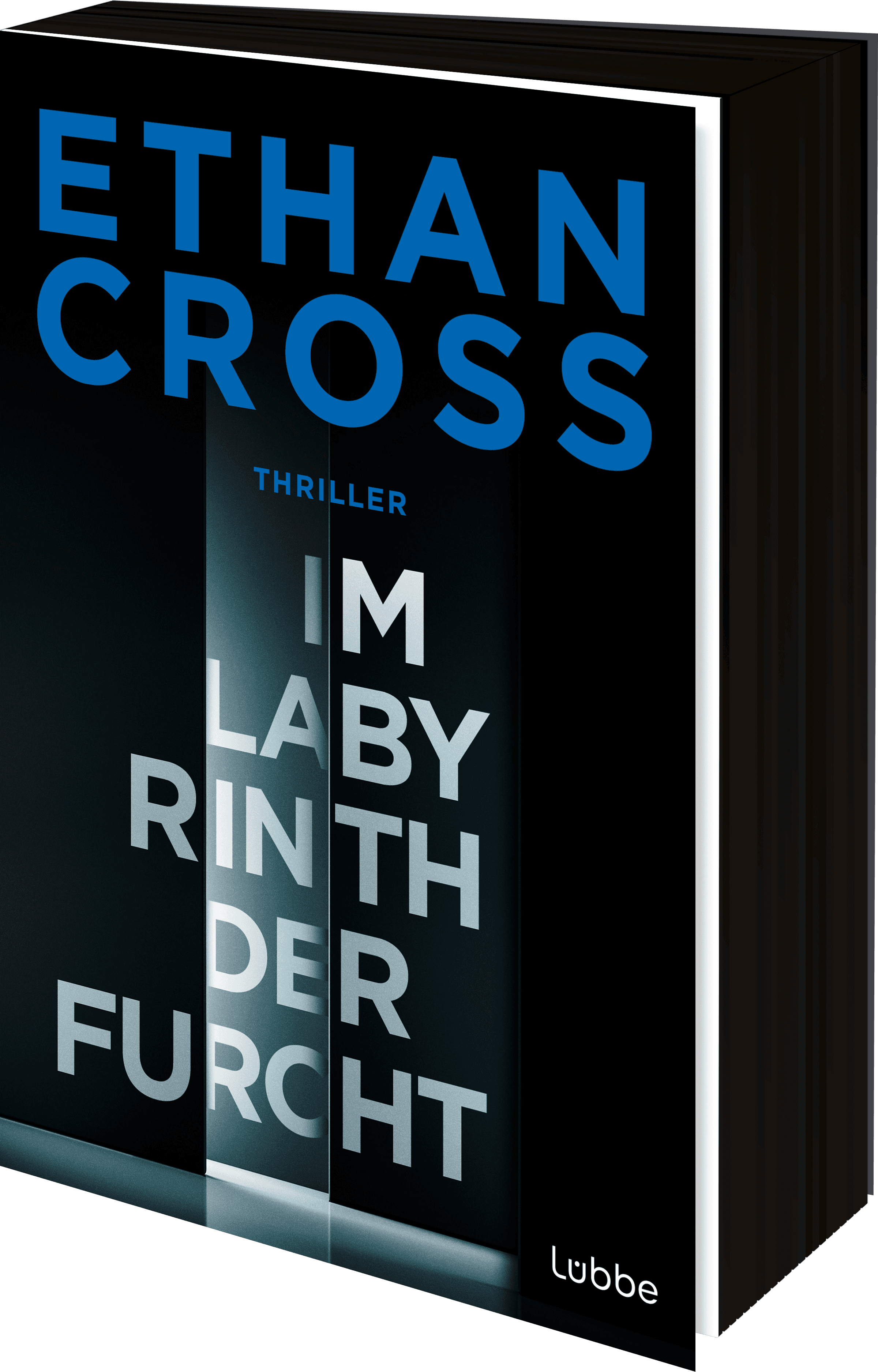 Produktbild: Im Labyrinth der Furcht (9783404194858 )