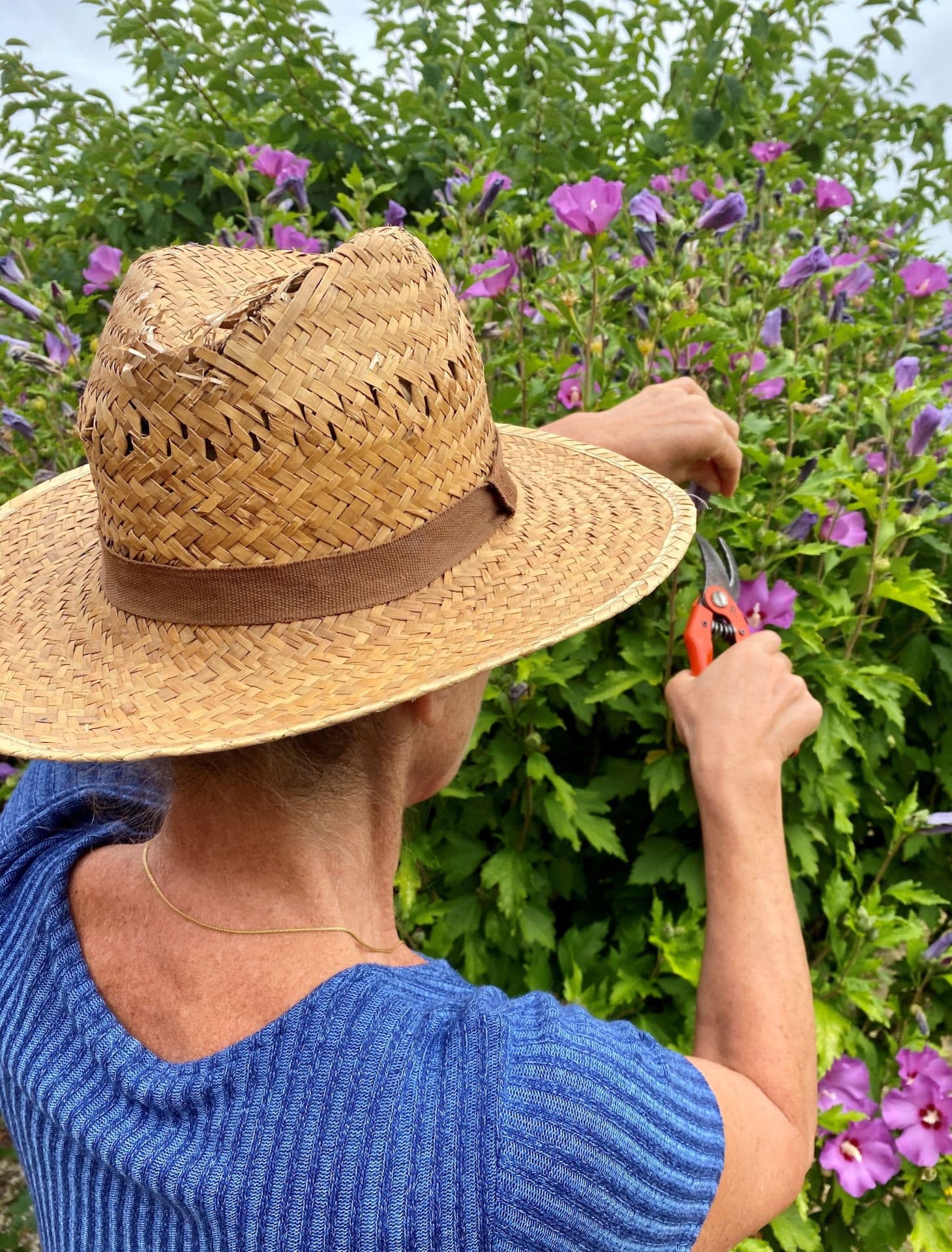 Abbildung Julie Dubois