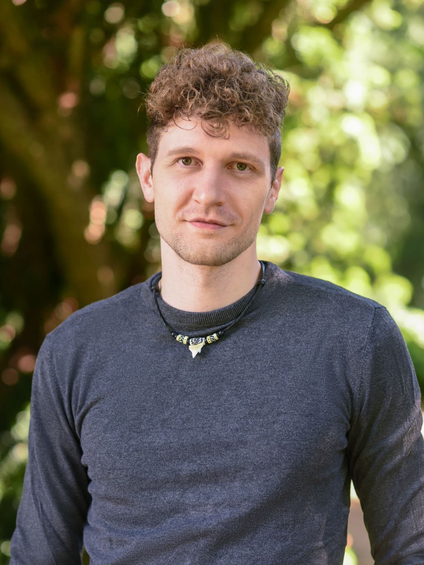 Abbildung T. J. Hammann